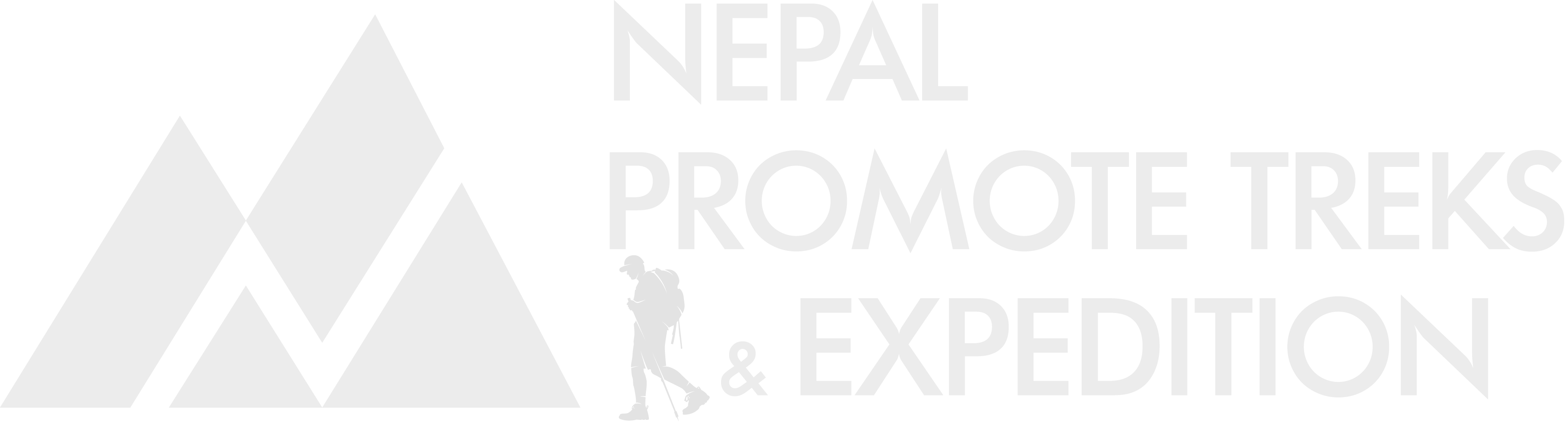NP-Logo