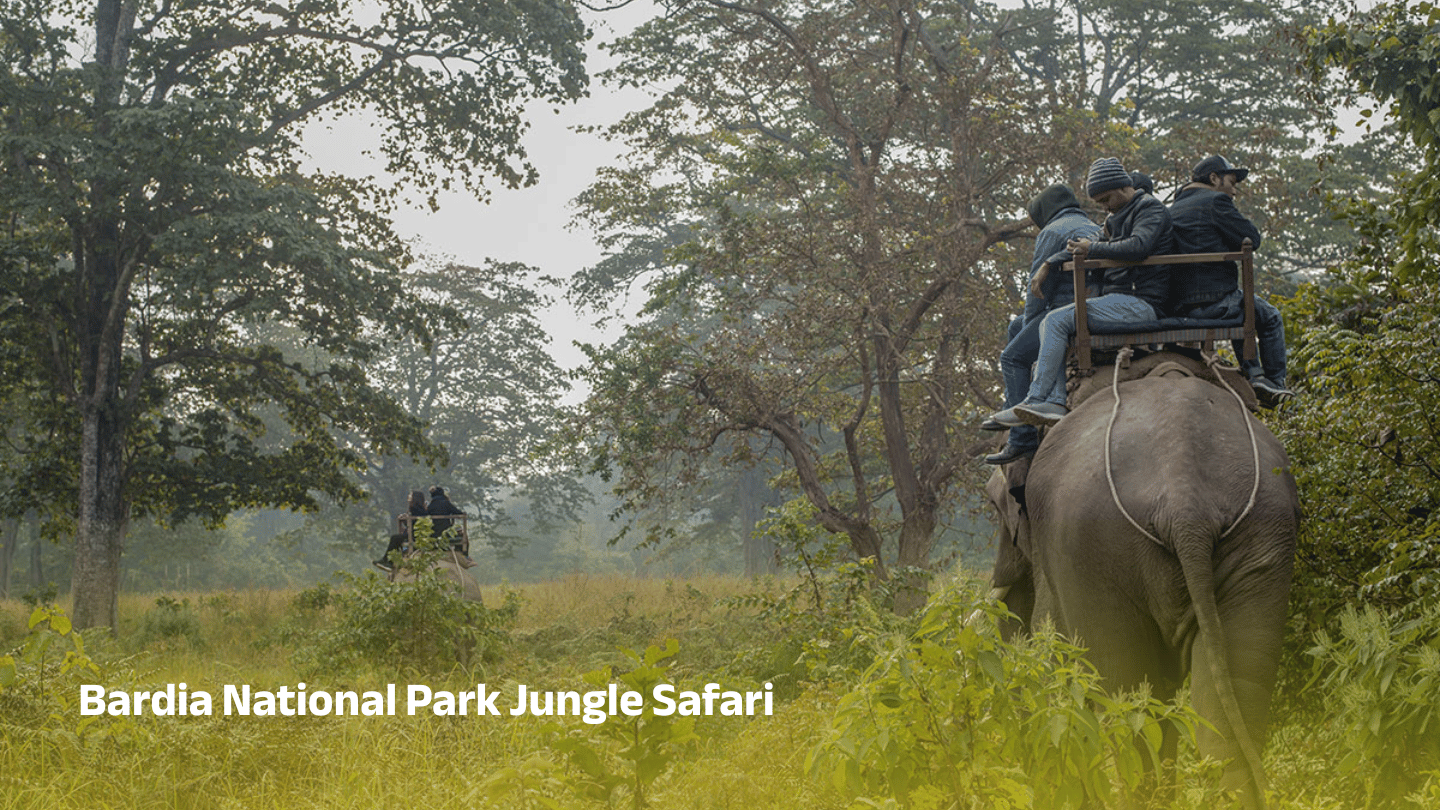 Bardiya National Park Jungle Safari